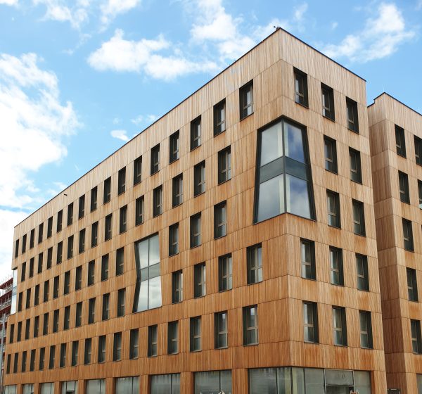 Fassade aus Lärchenlatten - Hoho Wien