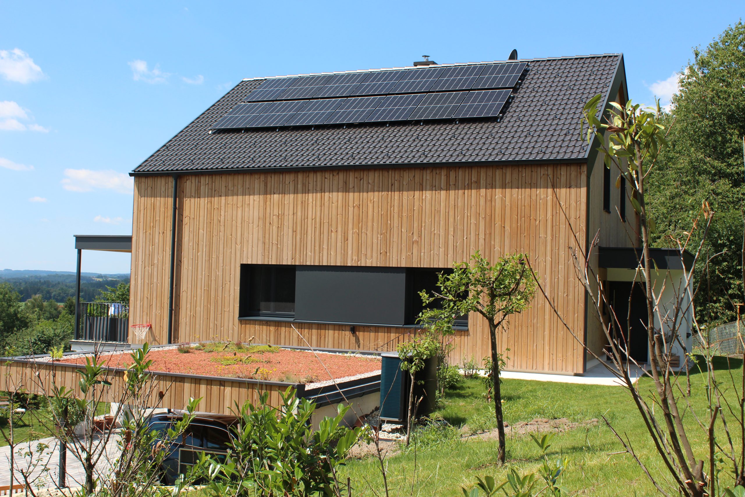 Fassade Thermokiefer gehobelt